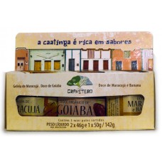 Mini kit Basil orgânico 142g - Gravetero Mini kit Basil orgânico 142g - Gravetero